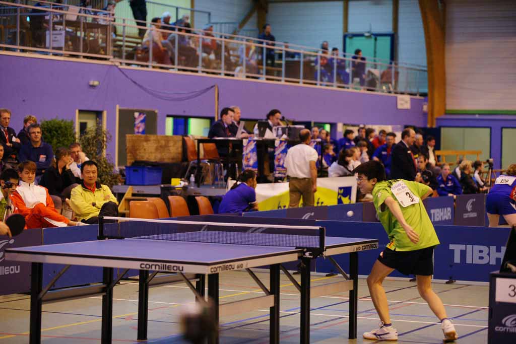 DSC02032.jpg